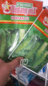 Bibit Paria Hibrida Benih Pare Unggul Hokian F110 Gram Bintang Asia