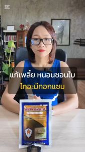 กำจัดแมลงศัตรูพืช ในแตงกวา เพลี้ยอ่อน เพลี้ยไฟ เพลี้ยแป้ง ด้วยสารกำจัดแมลง โล่ปลาดาว ไทอะมีทอกแซม
