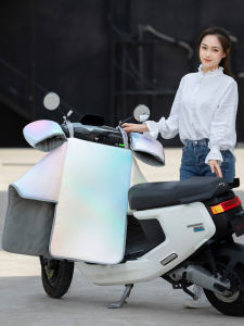 Thickened Fleece Electric Vehicle Windproof Cover Double-sided Waterproof Separate Motorcycle Battery Car Cover Spring Autumn