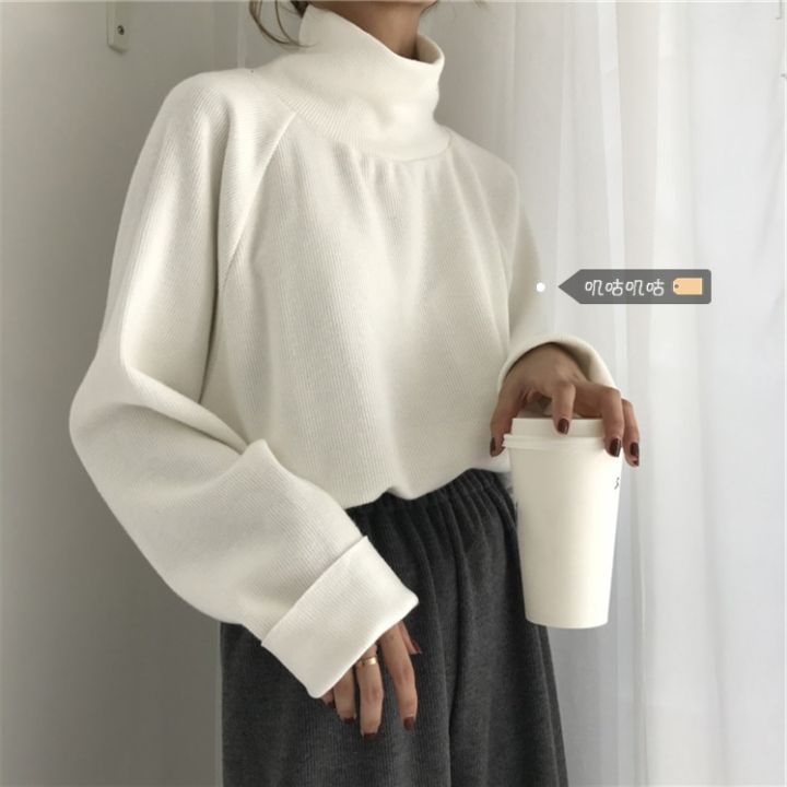 Plus Size Turtleneck Sweater Female Outer Wear Bottoming Shirt Female ...