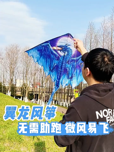 Oldlaiben Dragon Kites for Kids Easy To Fly Pterosaur Kite for Boy Girls Beginners Beach Trip Park Family Outdoor Games