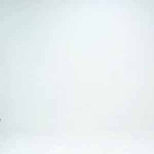 House of Smith Kaos Pria Lengan Pendek - All Mind White - T Shirt