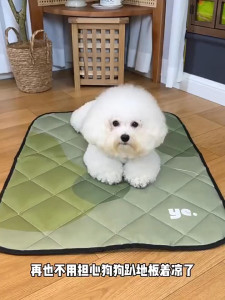 Lovinland All-Season Quilted Pet Mat Waterproof Urine-Proof Floor & Car Bed Mat for Cats & Dogs Foldable & Washable Pet Mat for Dog
