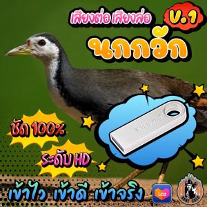 เสียงต่อนกกวัก V.1 เสียงล่อไก่นา V.1 แฟลชไดร์ฟเสียงนกกวัก V.1 ชัด เสียงใส ไม่มีโฆษณาแทรก ไม่มีเสียงรบกวน พร้อมส่ง! มีเก็บเงินปลายทาง!!!