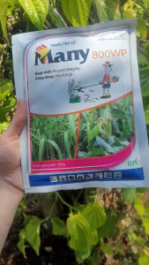 [VTNN TIEN KHOA] MANY 800WP thuốc trừ cỏ trên ruộng bắp trừ lúa lộn trên ruộng lúa gói 100 gram