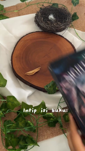 Novel The Night Circus - Erin Morgenstern - Fantasi Terjemahan - Mizan