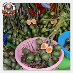 หมากสด หมากคนแก่ ซื้อหมากฝากยาย