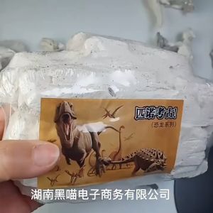 [Hàng Mới về] Khảo cổ đào Hóa Thạch Khủng Long Big Mini Đồ Chơi Khám phá thời ti.ền sử Hóa thạch khủng long bạo chúa (Không Bao Gồm Dụng Cụ)