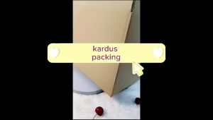 5PCS Kardus Packing Dengan Uk 33 x 20 x 24 Cm