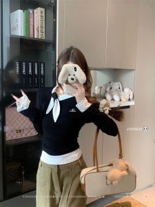 Slim Fit Long Sleeve Base Shirt Womens New Early Autumn Black T-Shirt French Style Inner Wear Slimming Top Black Upper Apparel