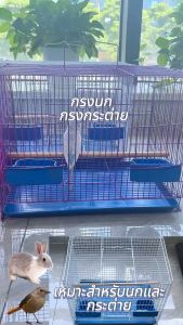 กรงนก กรงสัตว์เลี้ยงอเนกประสงค์ กระต่าย ชูก้าร์ กระรอก สุ่มสี 3ขนาด เล็ก กลาง ใหญ่ ครบชุด กรงนกขนาดเล็ก กรงนกขนาดใหญ่ - Lazada
