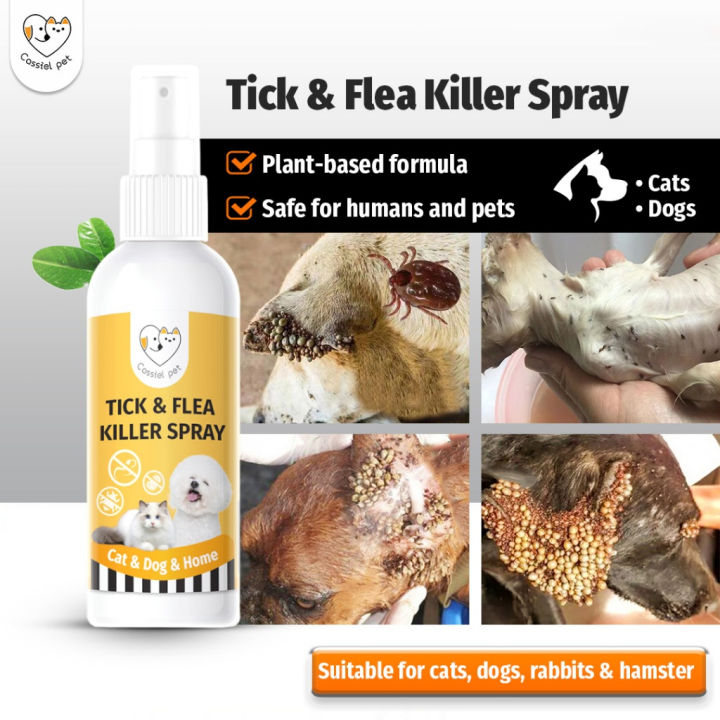 CASSIEL PET Tick and Flea Killer 100ML Universal for cats and dogs