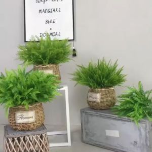 ช่อเฟิร์นหลากสไตล์หลายชนิด ต้นไม้ประดิษฐ์ สวยงามเสมือนจริง (พร้อมส่งในไทย ถึงมือรวดเร็วทันใจ)