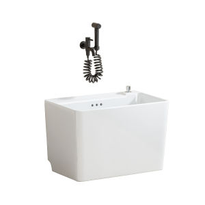 WEILANJINGDIAN | Domestic Floor Standing Cleaning Basin