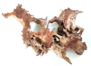 รากไม้ แห่งจินตนาการ รูปมังกรทะยานฟ้า และเหล่าสัตว์มงคล มารวมกันแน่นๆ ใครตาดีมีโชคก็จะมองเห็น พวกเขา แอบอยู่ในป่าเขาลำเนาไพร