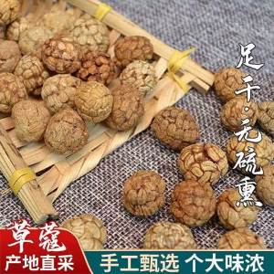 Hạt Cardamom Để Hầm và Om