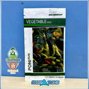 Benih Cabai Rawit PONIRUN 10gram