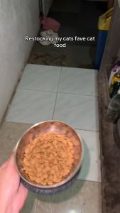1kg 500g All Stages Infinity Salmon Infinity Ocean Fish Adult Kitten Dry Food Pet Cat Cats Essential