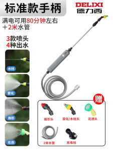 Delixi Electric Sprayer Small Home Garden Tool for Spraying Pesticides And Watering Flowers Disinfection Agricultural Use