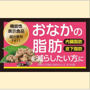 【Direct From Japan】Black Ginger Extract | Boost Metabolism | Weight Loss | Energy