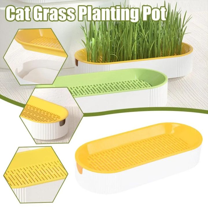 Catnip Grass Kit With Pot Cat Grass Wheat/Barleygrass Seeds Hydroponic ...