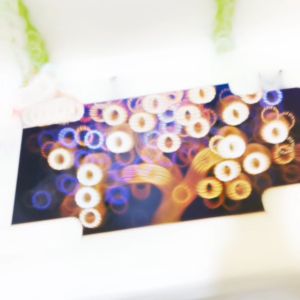 HIASAN DINDING AESTETIK ELEGAN FLOWERS SET ISI 4 BUNGA EMAS & BIRU DEKORASI RUMAH WALL DECOR KAMAR