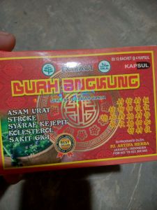 buah angkung cocok untuk pegelinu..