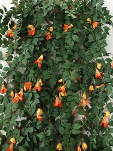 Simulated Honeysuckle Fake Flower Vines for Decoration