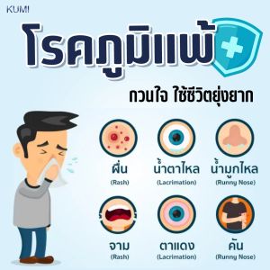 ราคาพร้อมส่ง 2 Kumi อาหารเสริมแก้ภูมิแพ้คันตัว - หวัดไอ จาม ไซนัส ผื่นแพ้ กุมิทัวร์