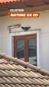 กล้องส่องทางไกล Celestron Nature DX ED Glass กล้องส่องนก เดินป่า