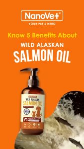 Nanovet Wild Alaskan Salmon Oil For Cat and Dog - 100ML/ 250ML