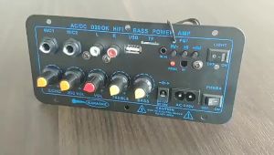 【New】200W AC 220V 12V 24V Digital BT5.0 Amplifier Board Subwoofer Dual Microphone Karaoke Amplifiers