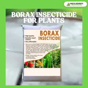 ARNETH BORAX NATURAL INSECTICIDE ANT COCKROACH & PEST POWDER CONTROL