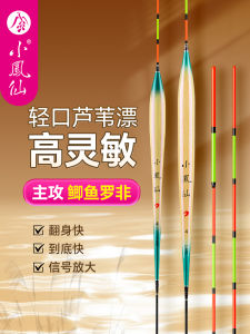 Cây Cờ Câu Cá Nhạy Bén Nhẹ Thân Hình Dài Chân Ngắn Cắm Sâu Vào Nước Phù Hợp Cho Câu Cá Ở Các Hồ Và Sông