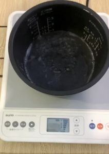 Bếp từ đơn nội địa Nhật Sanyo công suất 1300 có hẹn giờ nấu