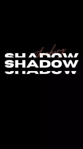 T-Shirt Baju Distro Cowok Unisek STREET CATS Kaos Pria Baju Kaos Sangat Nyaman Dipakai Untuk Harian Cotton Combet 30s - Shadow Cloth