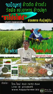 ซาโปรไฟต์[Saprophyte500g]: จุลินทรืย์ผงสลายซากพืช ได้เเก่ ตอซัง เมล็ดวัชพืช เม็ดข้าวดีด ข้าวเด้ง ต้น กิ่ง ใบ ควบคุมโรคพืช เช่น โรครากเน่าโคนเน่า ปรับปรุงโครงสร้างดินดีขึ้นอากาสถ่ายเทสะดวก ระบบรากเเข็ง ลดมลภาวะทางอากาศ PM2.5 เร่งการย่อยสลายกองปุ่ยหมักเร็ว