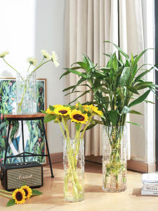 Large Size round Glass Vase Simple Modern Straight Cylinder Wealth Bamboo Flower Arrangement Living Room Decorative Piece