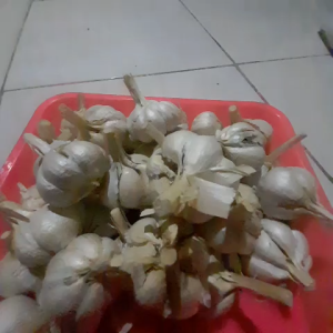 Bawang Putih/Garlic 500gr KATING Super Segar Kirim Bahan Rempah Bersih Bumbu Masakan Dapur Harum Berkualitas