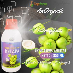 Pupuk Khusus Untuk Buah Kelapa / Pupuk Pelebat Buah Kelapa Lokal / Pupuk Booster Buah Kelapa / Pupuk Buah Kelapa / Pupuk Pelebat Buah Kelapa