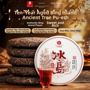 YIGUCHATANG | Aged Ten Years Yunnan Ancient Tree Ripe Pu-erh Tea