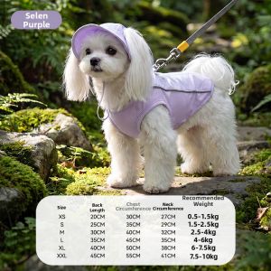 hipidog | Cool Thin Small Dog Clothes