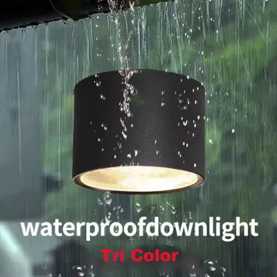 Waterproof Downlight Outdoor 10w 15w 20w Tri Color Spotlight Ceiling Light Balcony Bathroom Corridor Moisture Proof Rain Proof 220v