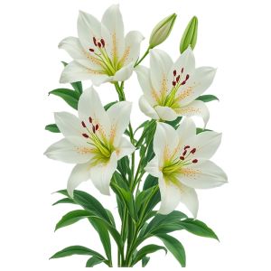 Waterproof Self-adhesive Lilies Stickers for Fridge Modern Simple Style Decorative Wall Decals PVC Material Flower Patterns