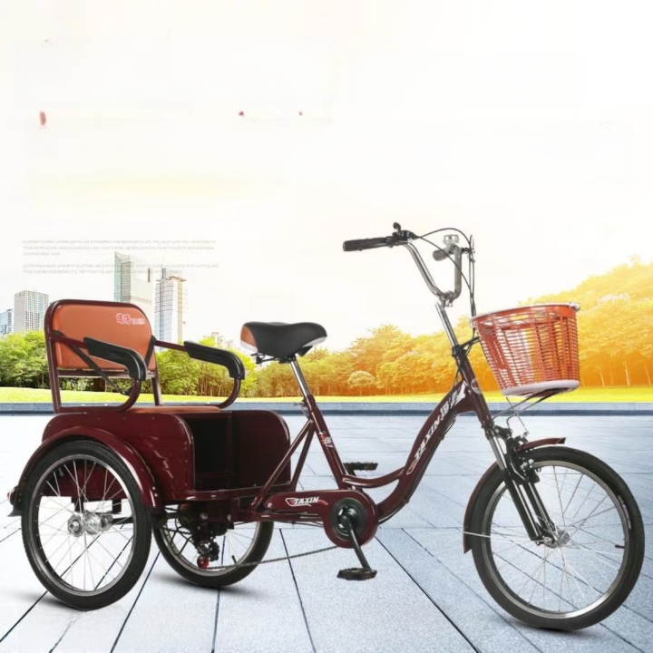 Peddle Rickshaw Taxin Elderly Tricycle Pedal Tricycle Pedal Pedal Variable Speed Three ...