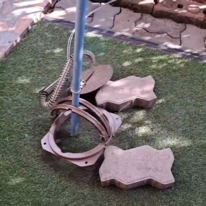 BOT04 กับดักหมูป่า  รุ่นหนาพิเศษ  สลิงคู่ กิ๊บล็อคเบอร์ 6 ท่อสแตนเลส(ส่งจากไทย)