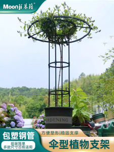 Rose Climbing Support Pole Garden Artistic Umbrella Shaped Flower Stand for Roses And Climbing Plants Outdoor Balcony Courtyard