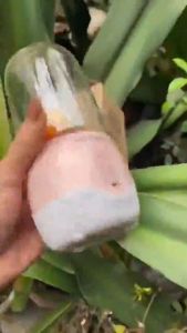 Máy say sinh tố cầm tay đa năng mini 300ml Máy xay sinh tố cầm tay mini sạc pin