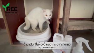 น้ำยาดับกลิ่น ดับกลิ่นฉี่แมว ดับกลิ่นฉี่หมา ดับกลิ่นกระบะทรายแมว ดับกลิ่นฉี่แมวบนโซฟา ดับกลิ่นอับ ดับกลิ่นได้ทันที ไม่เป็นอันตราย 1 ลิตร แถมขวดสเปรย์