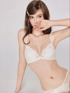 Miss Curiosity | French Style Triangular Cup Small Bust Wireless Lace Bra Set